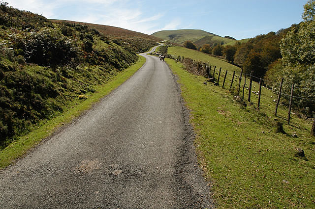 Camino photo 064