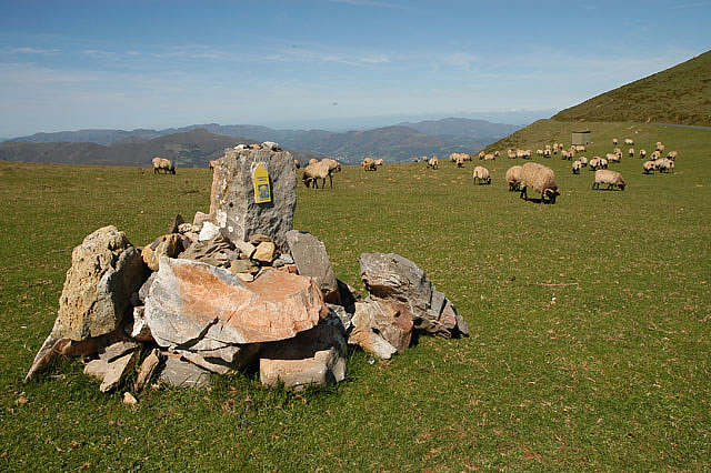Camino photo 070