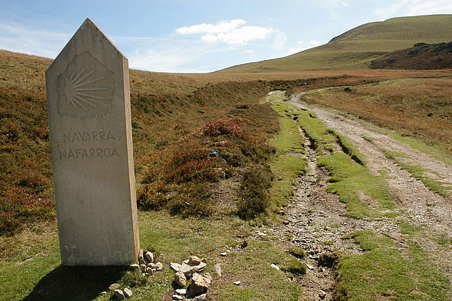 Camino photo 099A