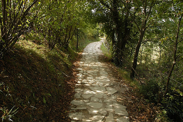 Camino photo 174