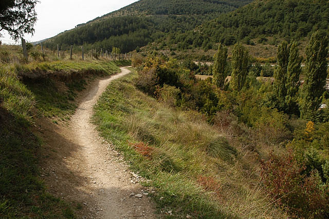 Camino photo 203