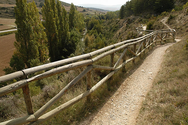 Camino photo 206