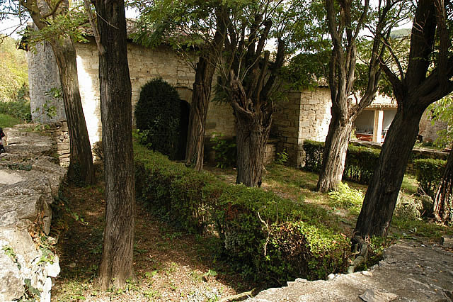Camino photo 211