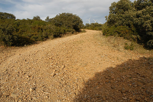 Camino photo 230