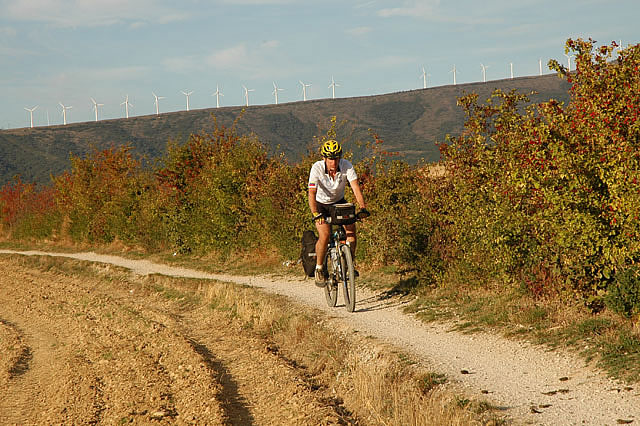 Camino photo 231