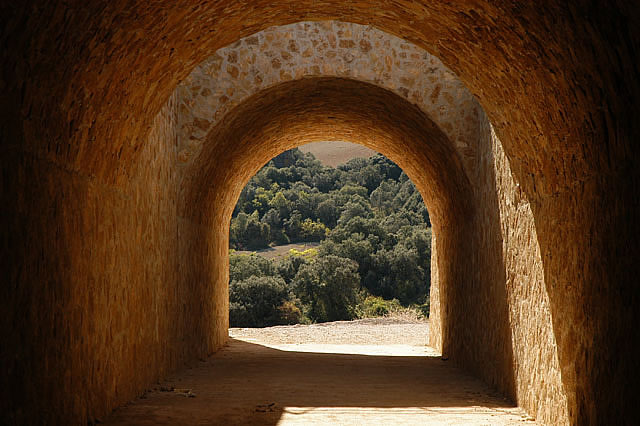 Camino photo 248