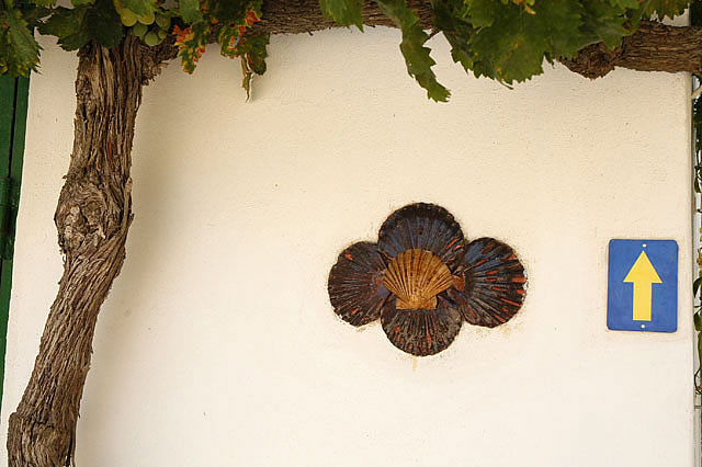Camino photo 262A