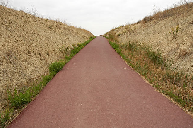 Camino photo 271A