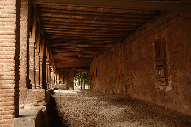 Camino photo 283