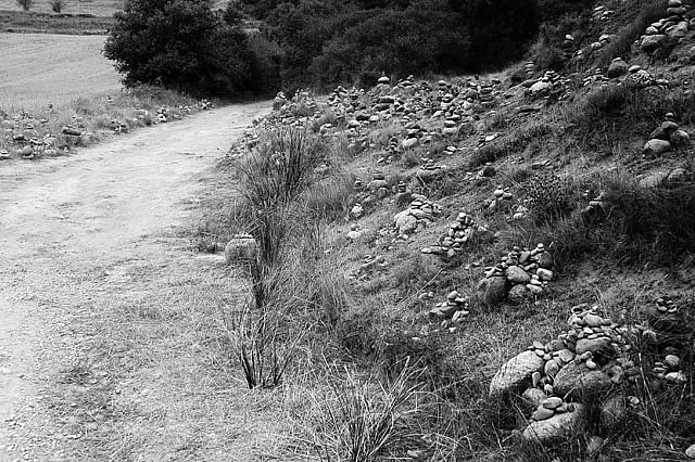 Camino photo 285A