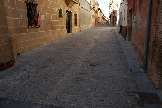 Camino photo 308