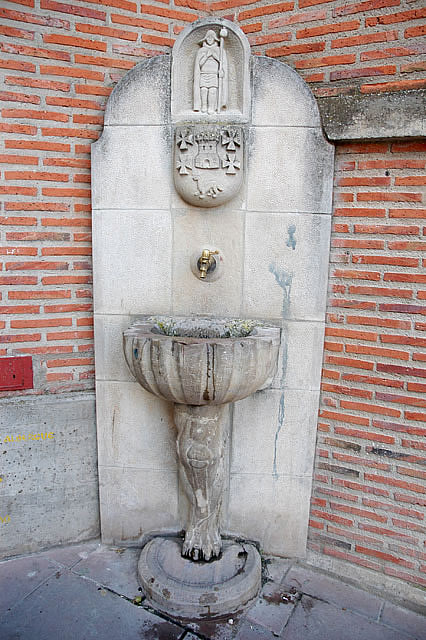 Camino photo 312A