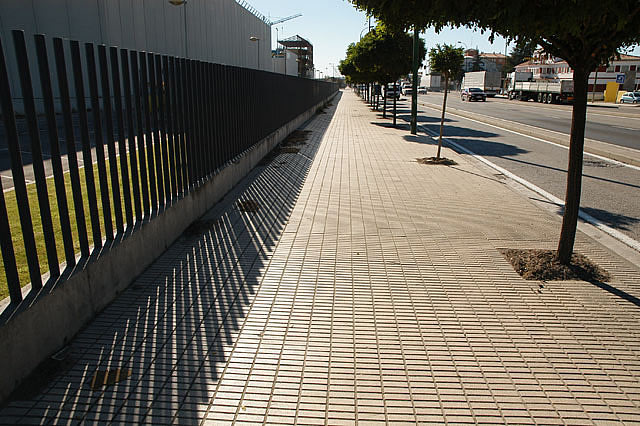Camino photo 329