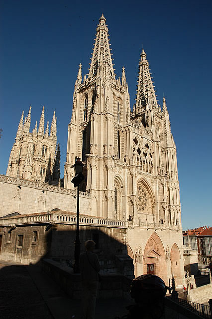 Camino photo 339