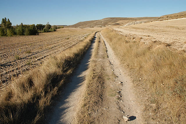 Camino photo 352