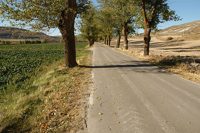 Camino photo 354