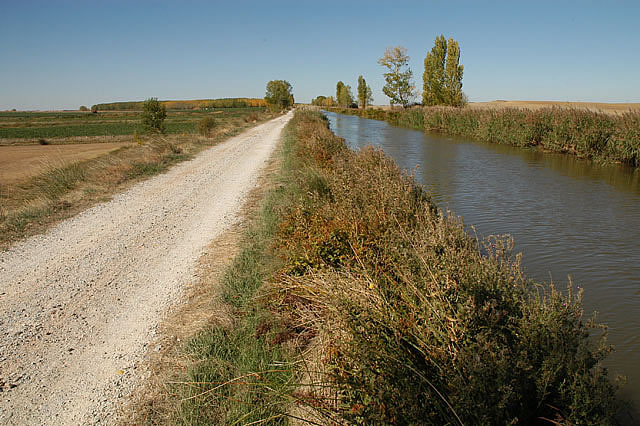 Camino photo 376