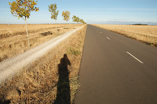 Camino photo 386