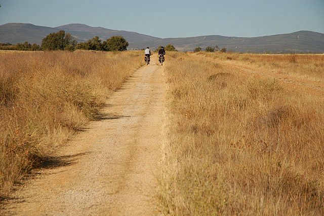 Camino photo 423