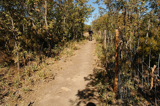 Camino photo 432