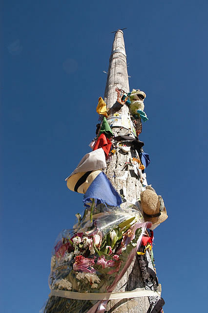 Camino photo 439