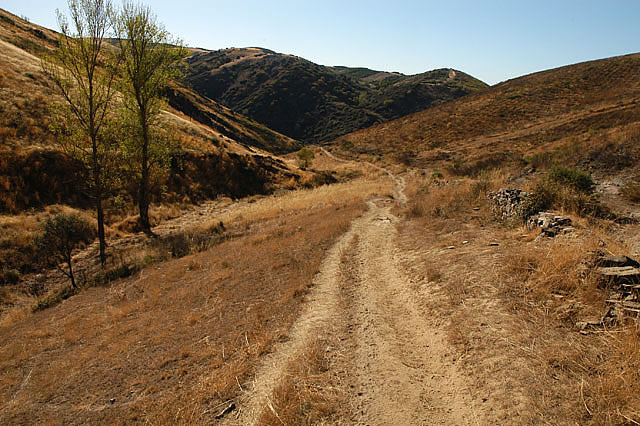 Camino photo 462A