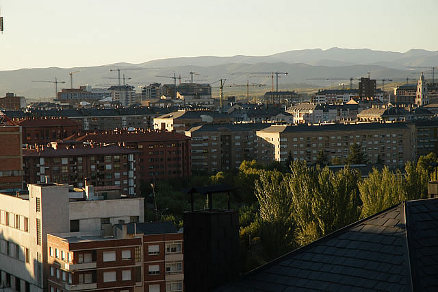 Camino photo 474
