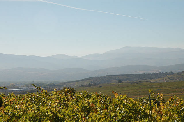 Camino photo 481