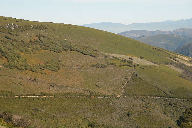 Camino photo 491
