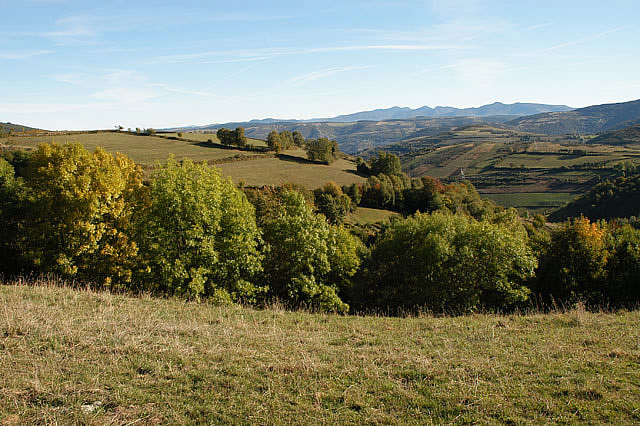 Camino photo 539
