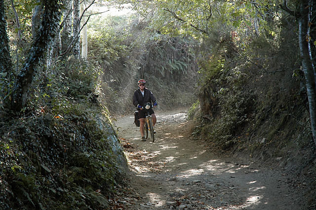 Camino photo 544A