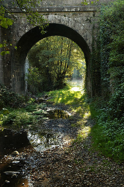 Camino photo 582A