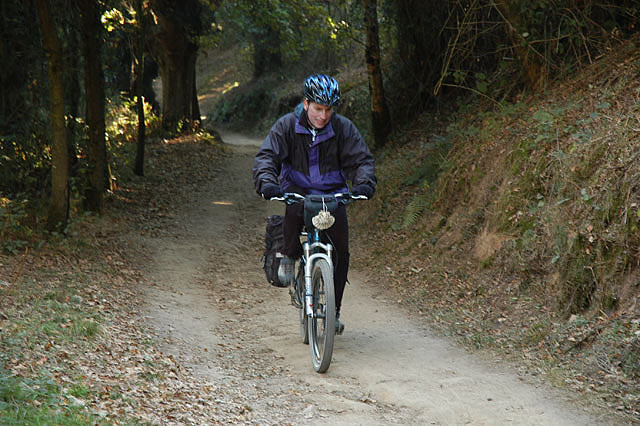 Camino photo 584