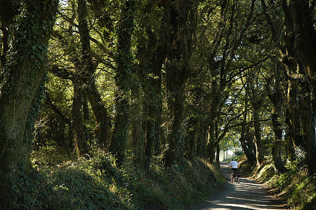 Camino photo 605
