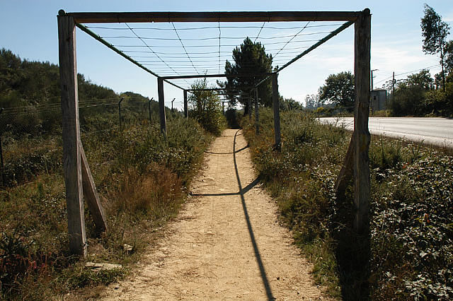 Camino photo 624